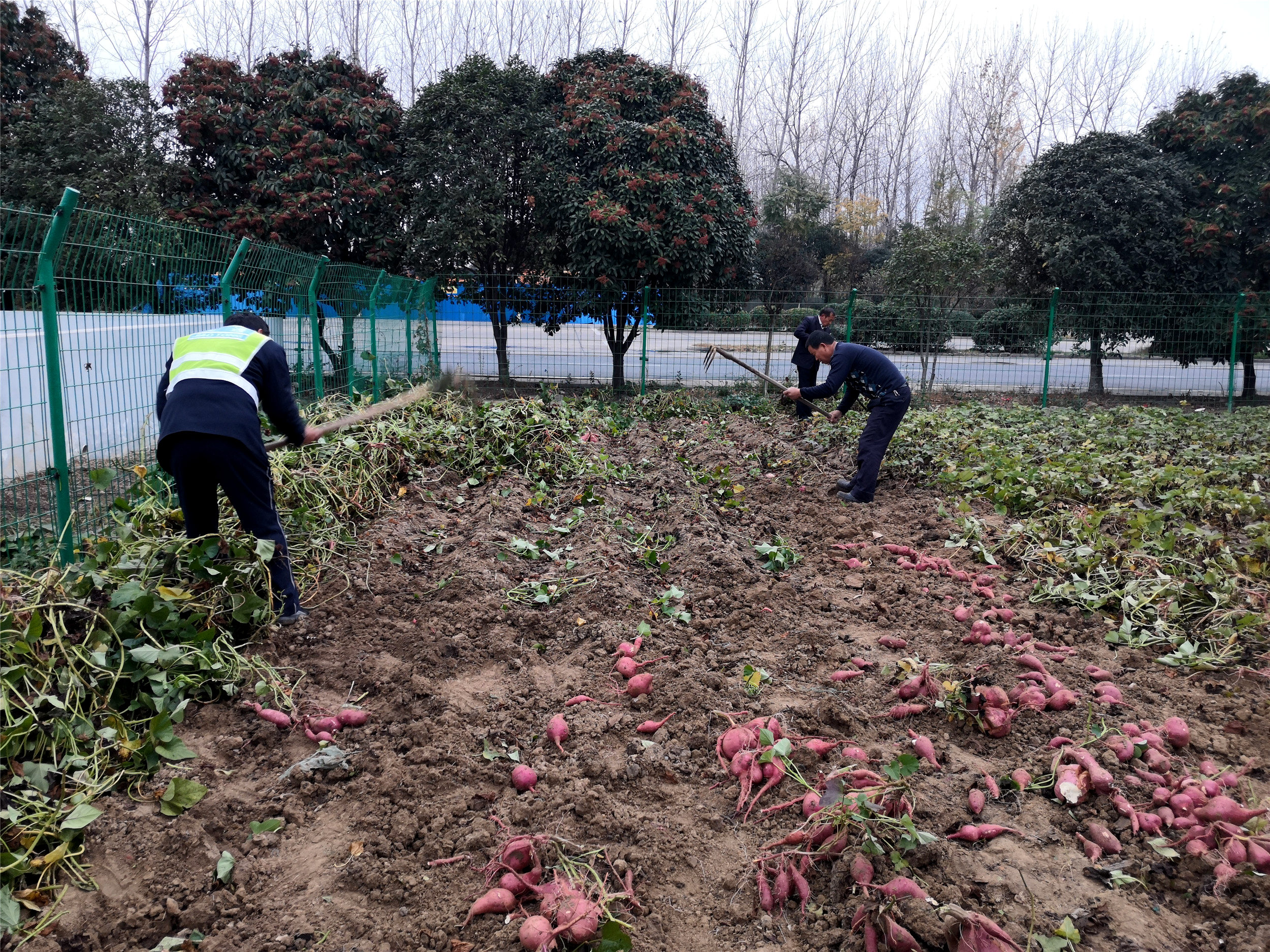 02_副.jpg 02_副.jpg